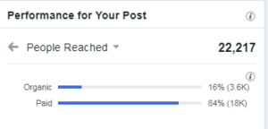 SRS Group Brand Video Campaign Stats