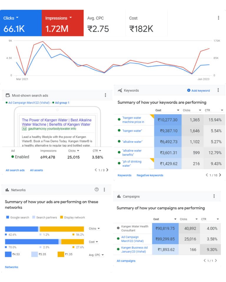 Team Iconic Water Google Ads Insights